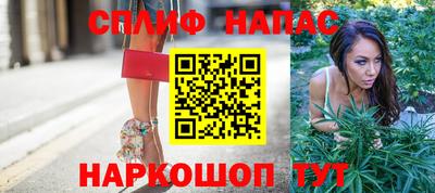 mdpv Славгород