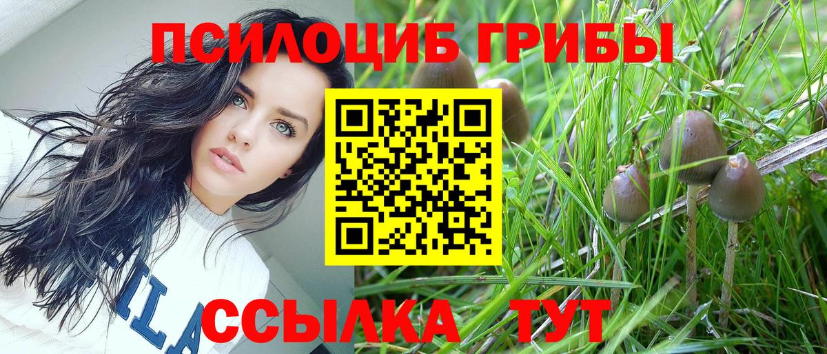 Новосибирск  Галлюциногенные грибы Psilocybe  дарнет шоп  Галлюциногенные грибы Cubensis  Вход с VPN 